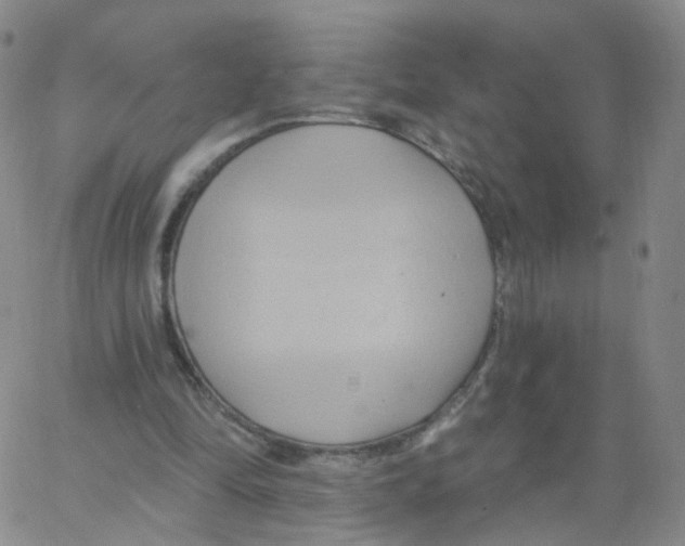 X0000062910294200602101839