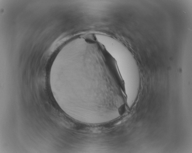 X0000062910295200602101839