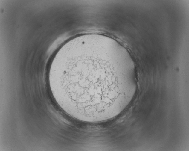 X0000062910296200602101839