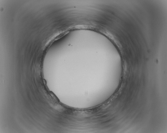 X0000062910297200602101839