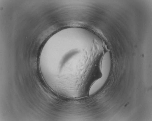 X0000062910299200602101839