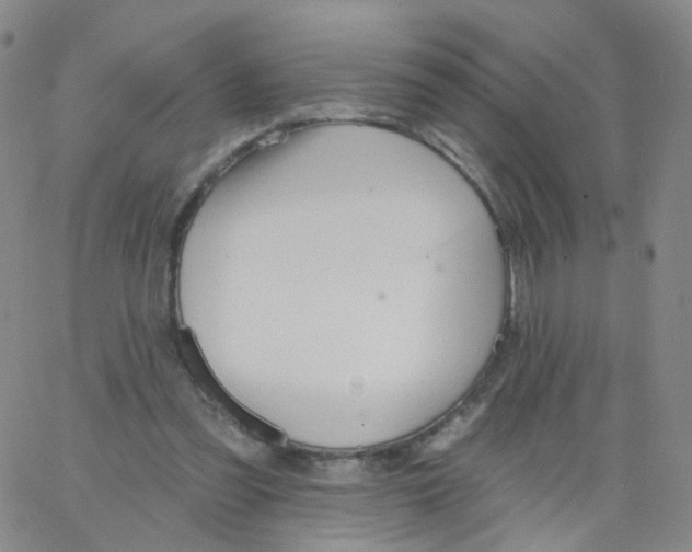 X0000062910301200602101839