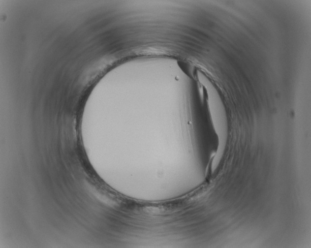 X0000062910302200602101839