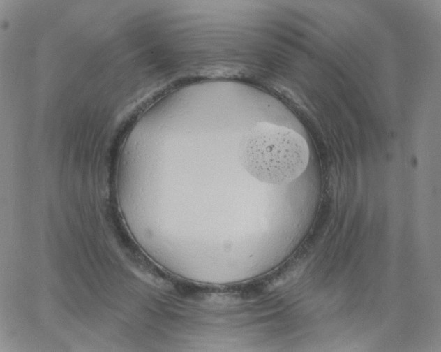 X0000062910303200602101838