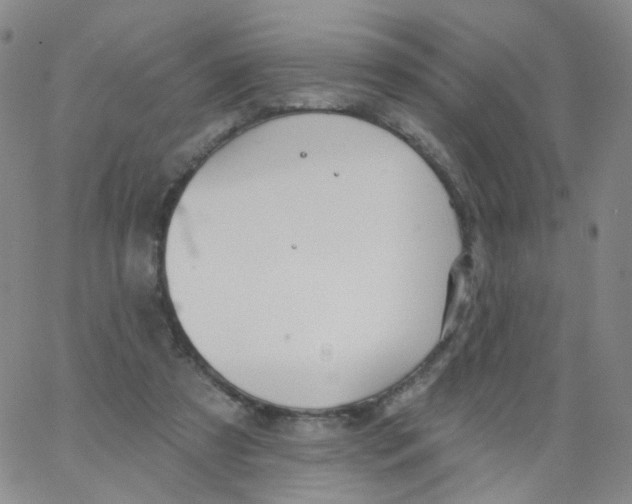 X0000062910305200602101838