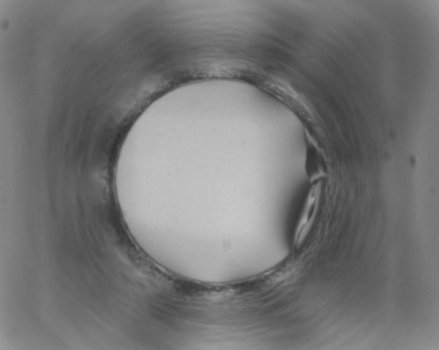 X0000062910306200602101838