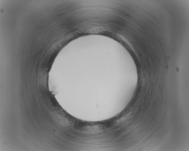 X0000062910307200602101838