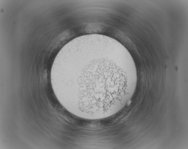 X0000062910308200602101838