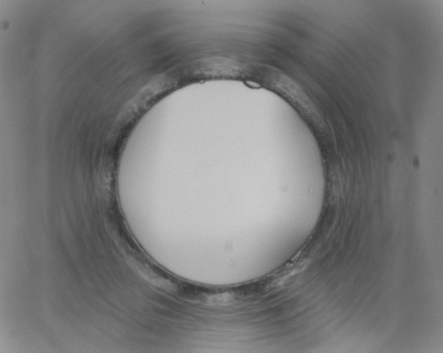 X0000062910309200602101838