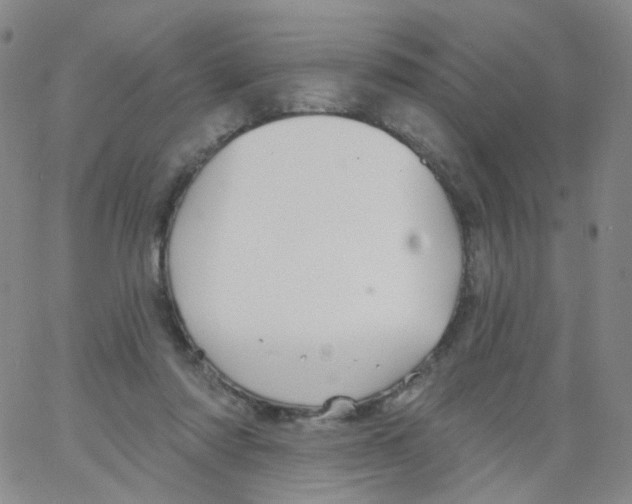 X0000062910310200602101838