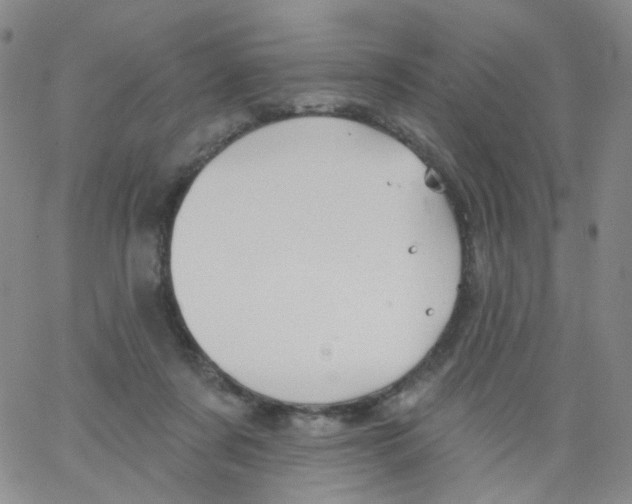 X0000062910311200602101838