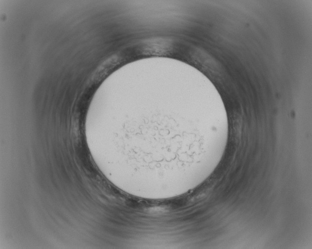 X0000062910312200602101838