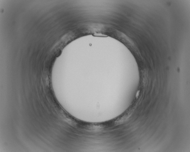 X0000062910313200602101838