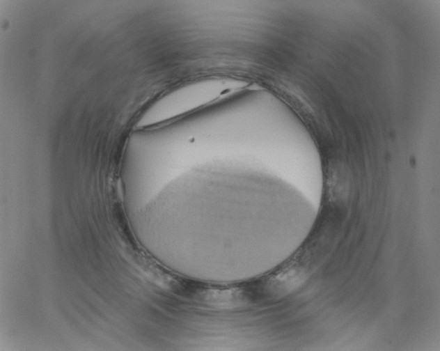 X0000062910314200602101838