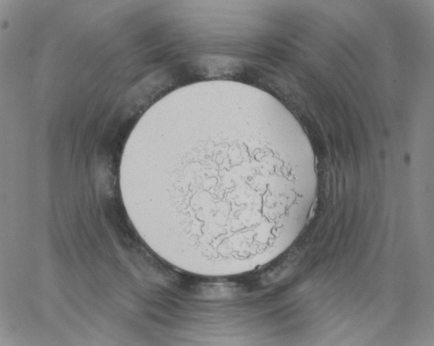 X0000062910316200602101838