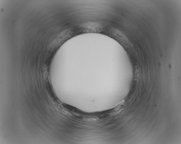 X0000062910318200602101838