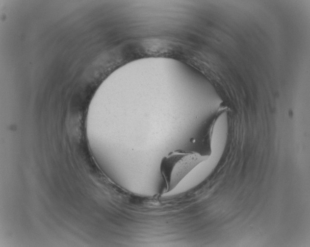 X0000062910319200602101838