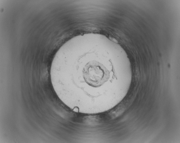 X0000062910320200602101838