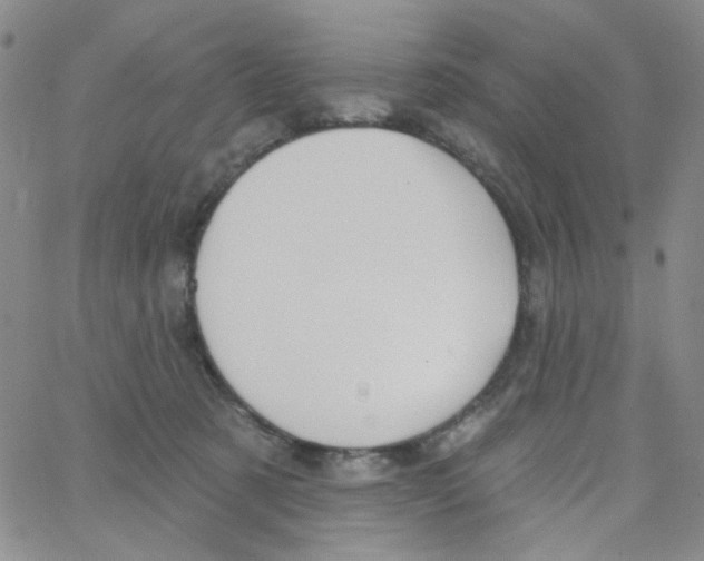 X0000062910321200602101838