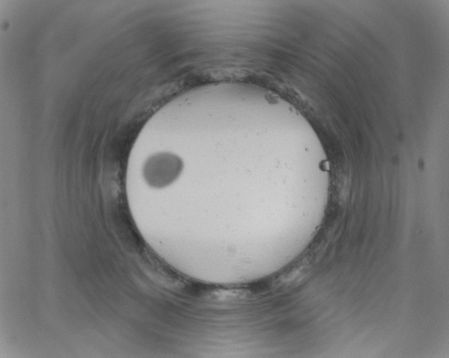 X0000062910323200602101838