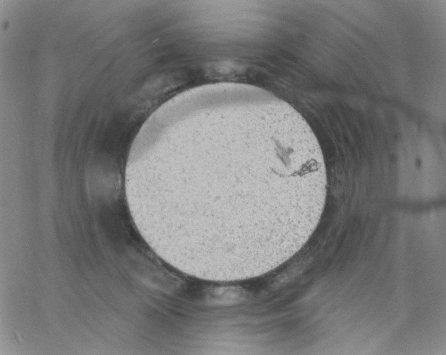 X0000062910324200602101838