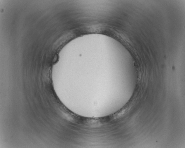 X0000062910325200602101838