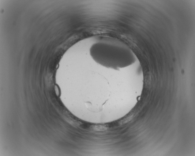 X0000062910327200602101838