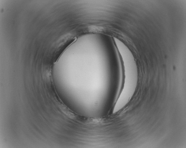 X0000062910329200602101838