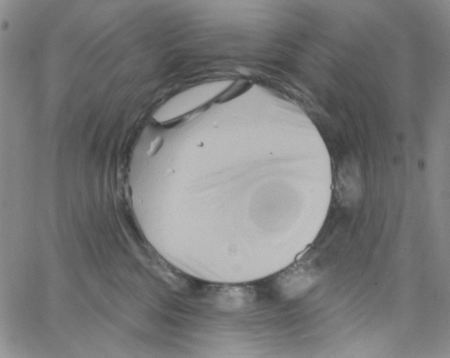 X0000062910330200602101838