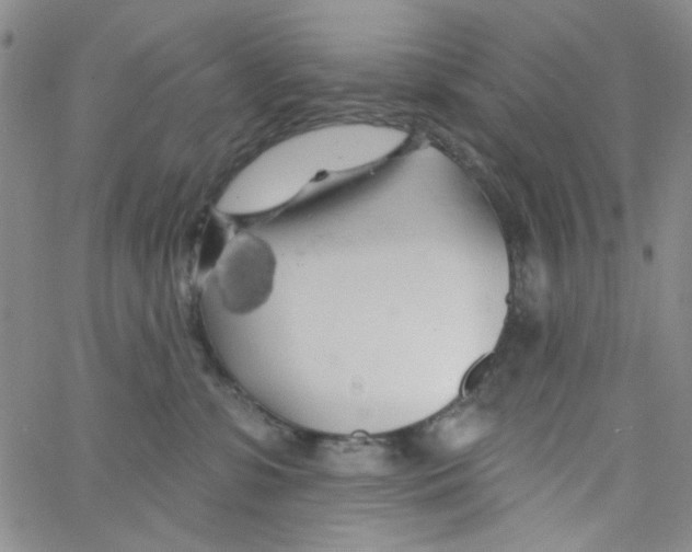 X0000062910331200602101838