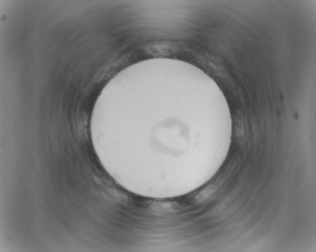 X0000062910332200602101838