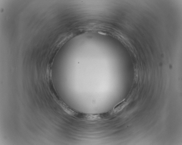 X0000062910333200602101838