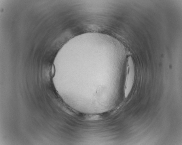 X0000062910334200602101838