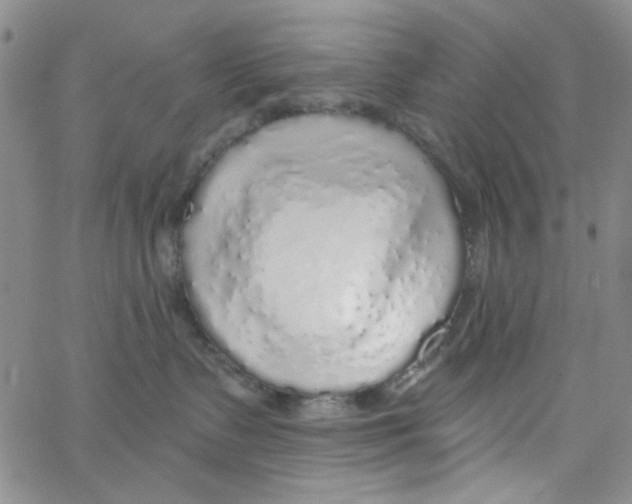 X0000062910335200602101838