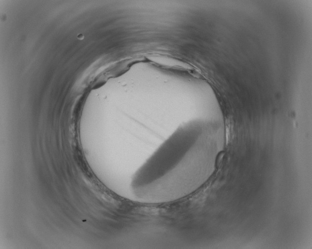 X0000062910339200602101837