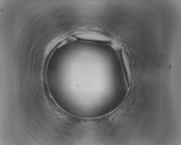 X0000062910340200602101837