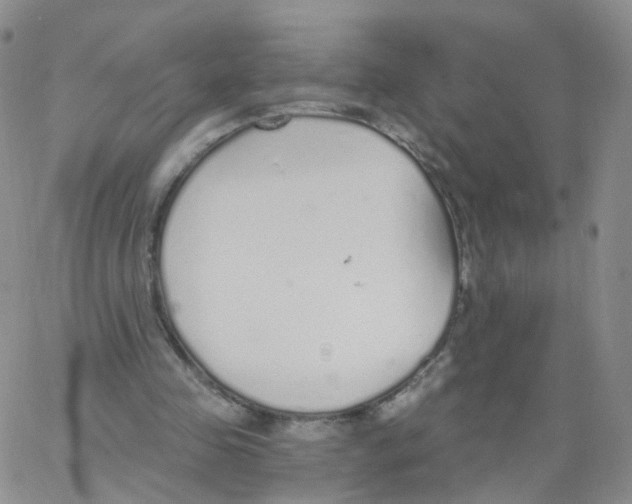 X0000062910341200602101837