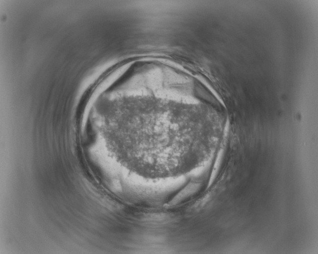 X0000062910342200602101837