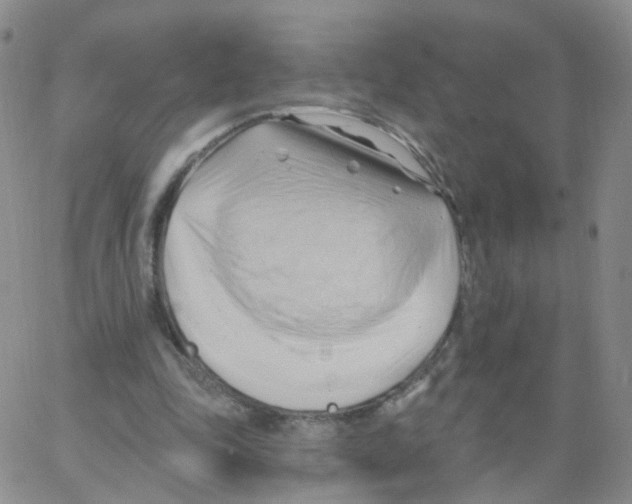 X0000062910343200602101837