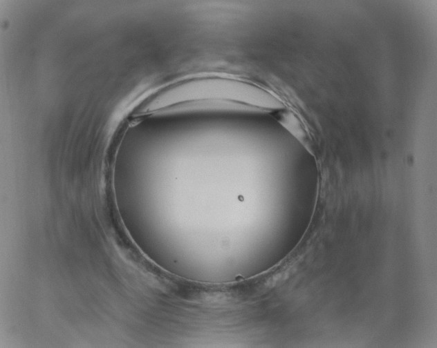 X0000062910344200602101837