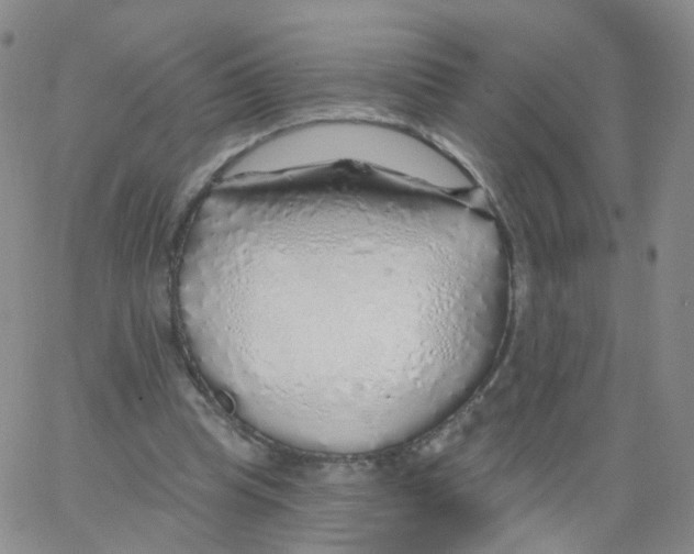 X0000062910345200602101837