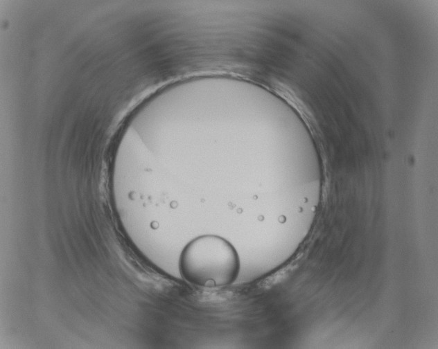 X0000062910346200602101837