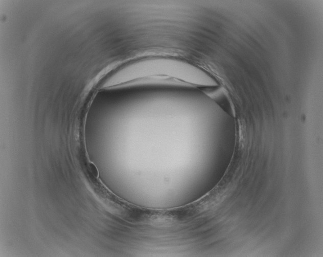 X0000062910348200602101837