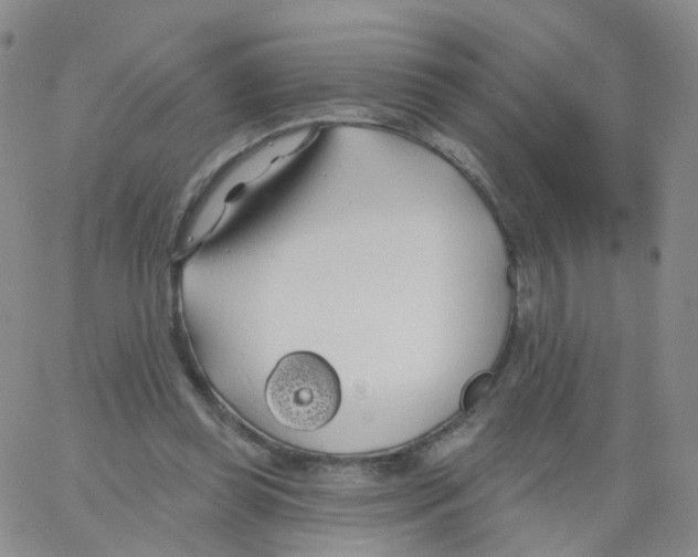 X0000062910349200602101837