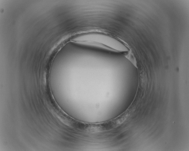 X0000062910350200602101837