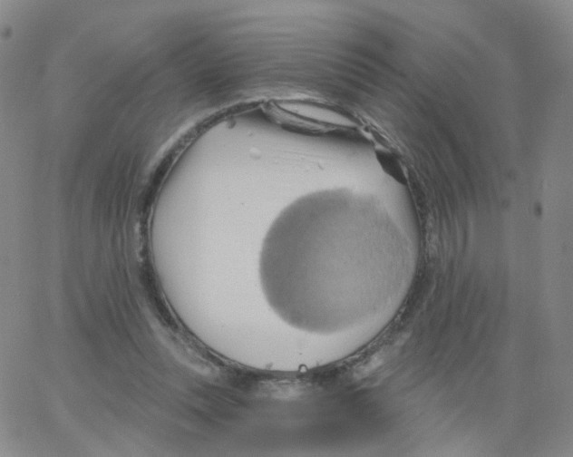 X0000062910351200602101837