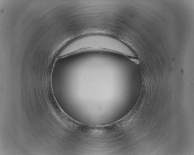 X0000062910352200602101837