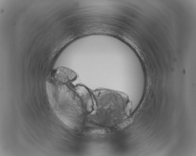 X0000062910353200602101837