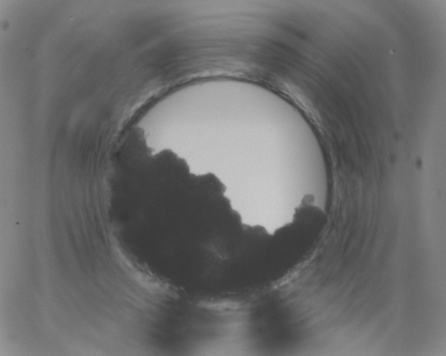 X0000062910354200602101837