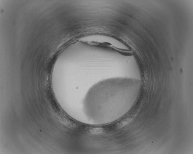 X0000062910355200602101837